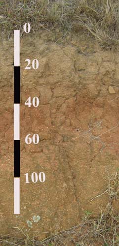 Soils and lanforms of the Bairnsdale Dargo region - a guide to the major agricultural soils of East Gippsland 2011 - Dargo Profile 54 - profile