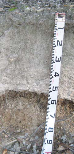 Soils and lanforms of the Bairnsdale Dargo region - a guide to the major agricultural soils of East Gippsland 2011 - Deadhorse EG266 - profile