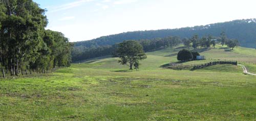 Soils and lanforms of the Bairnsdale Dargo region - a guide to the major agricultural soils of East Gippsland 2011 - Deadhorse_landform