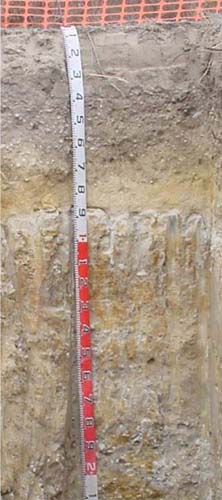 Soils and lanforms of the Bairnsdale Dargo region - a guide to the major agricultural soils of East Gippsland 2011 - Fernbank EG255 - profile