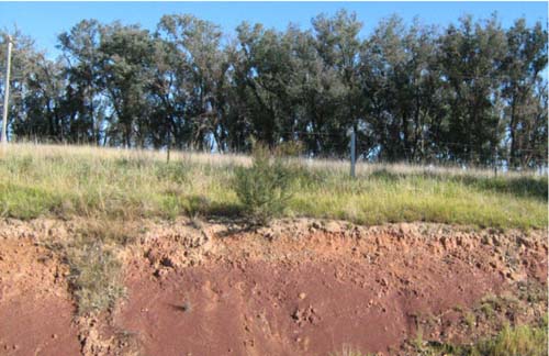 Soils and lanforms of the Bairnsdale Dargo region - a guide to the major agricultural soils of East Gippsland 2011 - Glenmaggie - geology