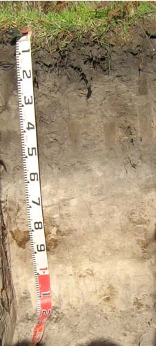 Soils and lanforms of the Bairnsdale Dargo region - a guide to the major agricultural soils of East Gippsland 2011 - Munro EG220 profile