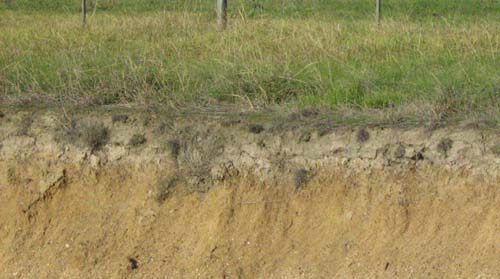 Soils and lanforms of the Bairnsdale Dargo region - a guide to the major agricultural soils of East Gippsland 2011 - Stratford land use