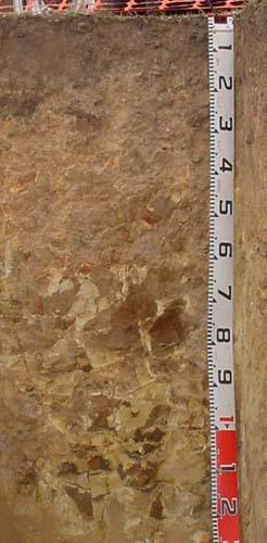Soils and lanforms of the Bairnsdale Dargo region - a guide to the major agricultural soils of East Gippsland 2011 - Tambo EG261 profile
