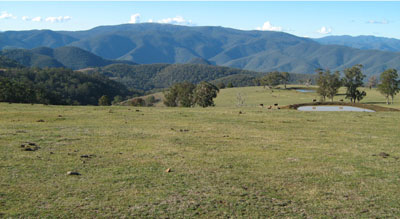 Soils and landforms of the Buchan and Suggan Buggan region -Gelantipy EG216 landscape