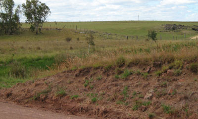 Soils and landforms of the Buchan and Suggan Buggan region -Gelantipy EG83 landscape