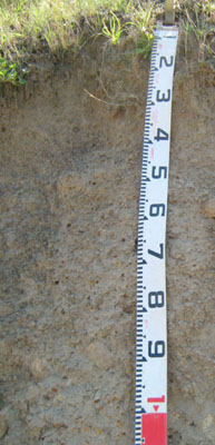 Soils and landforms of the Buchan and Suggan Buggan region -Gelantipy EG84 profile