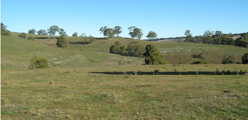 Soils and landforms of the Buchan and Suggan Buggan region - Gelantipy landform