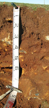 Soils and landforms of the Buchan and Suggan Buggan region - Gelantipy landuse
