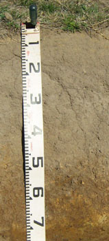 Soils and landforms of the Buchan and Suggan Buggan region - Gelantipy landuse