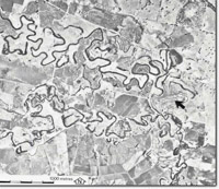 Image:  East Gippsland Sites of Significance