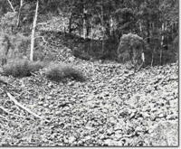 Image:  East Gippsland Sites of Significance