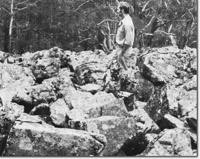 Image:  East Gippsland Sites of Significance