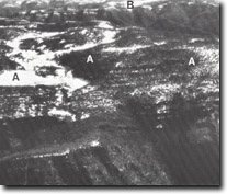 Image:  East Gippsland Sites of Significance
