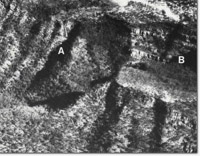 Image:  East Gippsland Sites of Significance