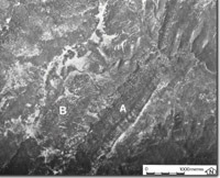 Image:  East Gippsland Sites of Significance