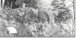 Image:  East Gippsland Sites of Significance