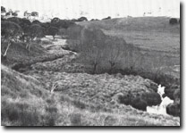Image:  East Gippsland Sites of Significance
