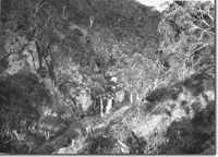 Image:  East Gippsland Sites of Significance