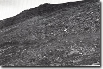 Image:  East Gippsland Sites of Significance