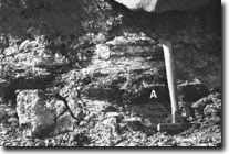 Image:  East Gippsland Sites of Significance