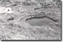 Image:  East Gippsland Sites of Significance