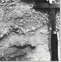 Image:  East Gippsland Sites of Significance