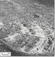 Image:  East Gippsland Sites of Significance