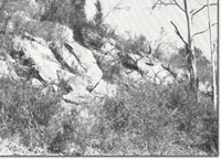 Image:  East Gippsland Sites of Significance