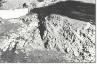 Image:  East Gippsland Sites of Significance