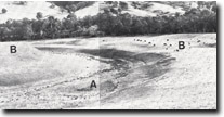 Image:  East Gippsland Sites of Significance