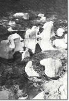 Image:  East Gippsland Sites of Significance