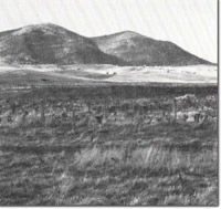 Image:  East Gippsland Sites of Significance