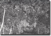 Image:  East Gippsland Sites of Significance