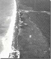 Image:  East Gippsland Sites of Significance