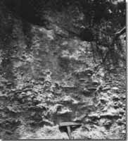 Image:  East Gippsland Sites of Significance