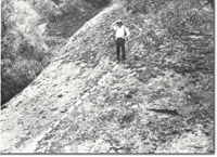 Image:  East Gippsland Sites of Significance