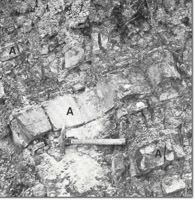 Image:  East Gippsland Sites of Significance