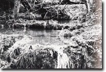 Image:  East Gippsland Sites of Significance