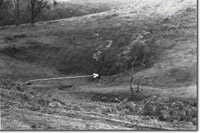 Image:  East Gippsland Sites of Significance