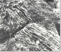 Image:  East Gippsland Sites of Significance
