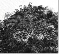 Image:  East Gippsland Sites of Significance