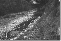 Image:  East Gippsland Sites of Significance