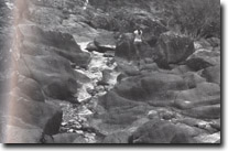 Image:  East Gippsland Sites of Significance