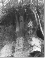 Image:  East Gippsland Sites of Significance