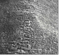 Image:  East Gippsland Sites of Significance