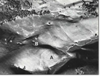 Image:  East Gippsland Sites of Significance