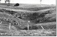 Image:  East Gippsland Sites of Significance