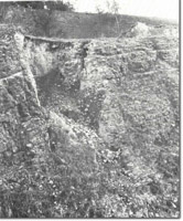 Image:  East Gippsland Sites of Significance