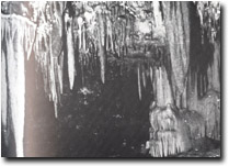 Image:  East Gippsland Sites of Significance